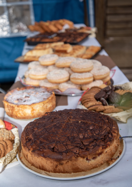 Stiftung Kinderheim Harkerode