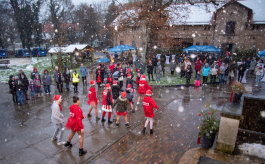 Stiftung Kinderheim Harkerode