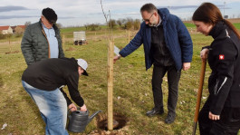 Stiftung Kinderheim Harkerode