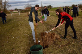 Stiftung Kinderheim Harkerode